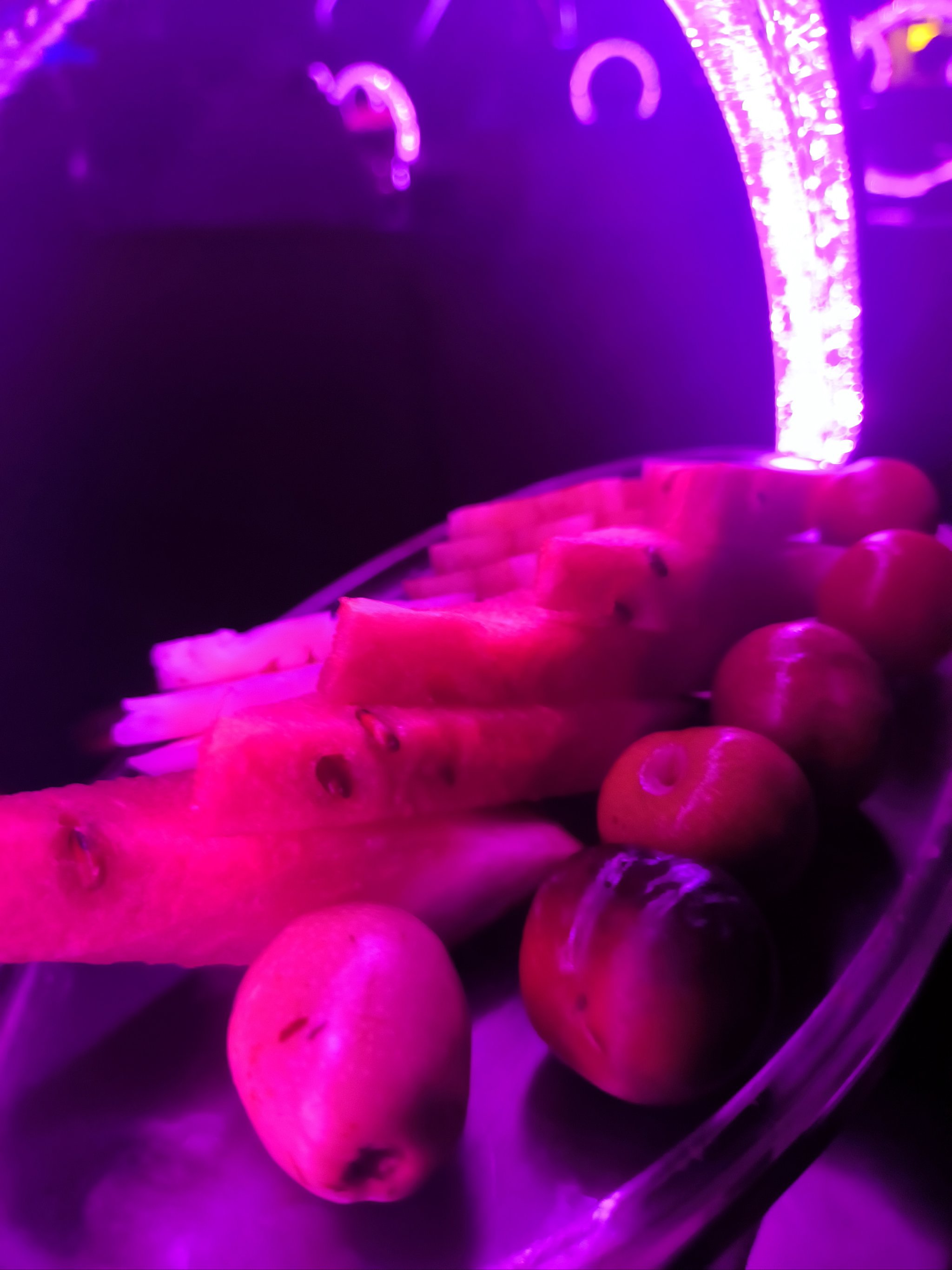 鞍山商务ktv价格多少钱一个小时-铁东区ktv预订